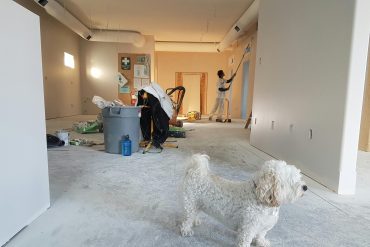 Home Renovation Waste